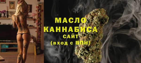 дмт Протвино