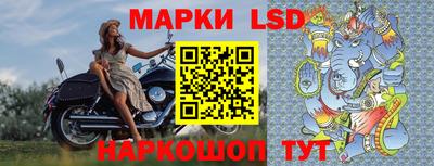 дмт Славгород
