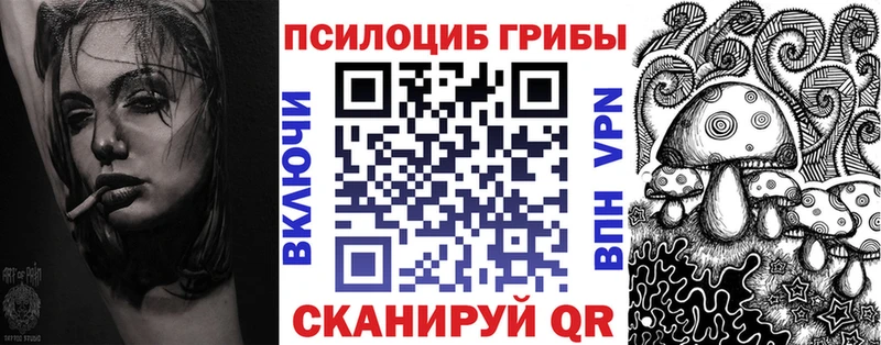 хочу   Сердобск  блэк спрут tor  Галлюциногенные грибы Psilocybine cubensis 